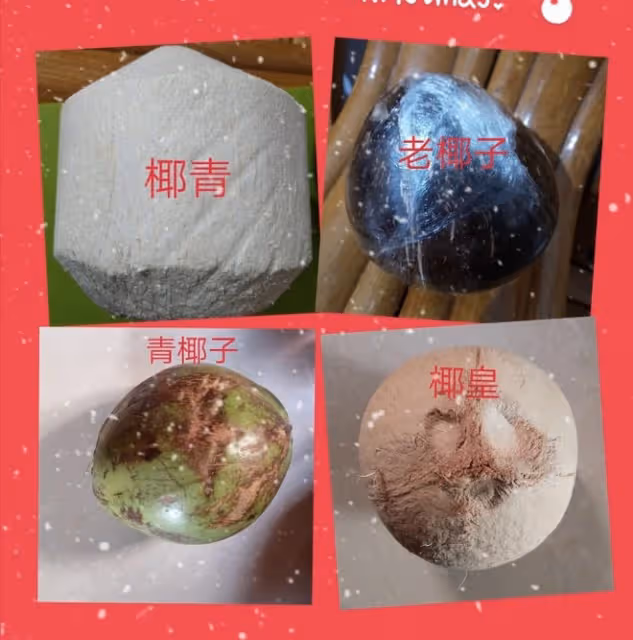 ⚠️各種開椰子❎取椰肉的方法（詳細）