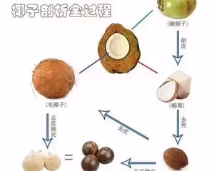 ⚠️各種開椰子❎取椰肉的方法（詳細）