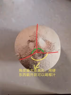 ⚠️各種開椰子❎取椰肉的方法（詳細）