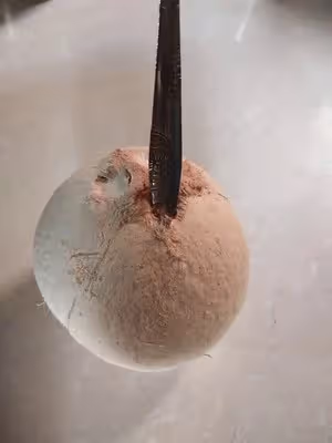 ⚠️各種開椰子❎取椰肉的方法（詳細）