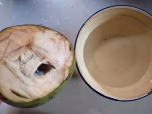 ⚠️各種開椰子❎取椰肉的方法（詳細）