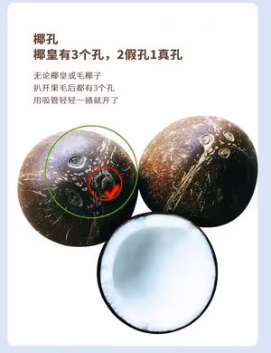 ⚠️各種開椰子❎取椰肉的方法（詳細）