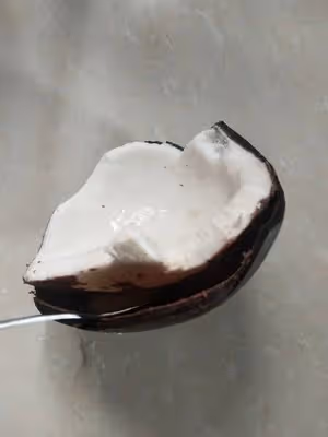 ⚠️各種開椰子❎取椰肉的方法（詳細）