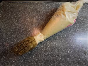 【創意菜】蝦滑釀羊肚菌