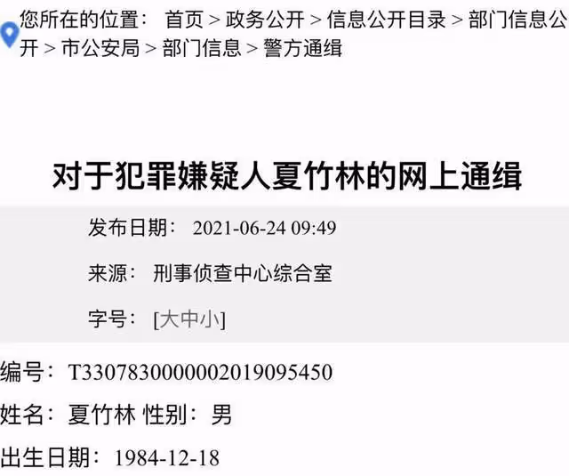 伊能靜為頂級富豪慶生!現場美女如雲,男方被曝詐騙上億逃亡海外
