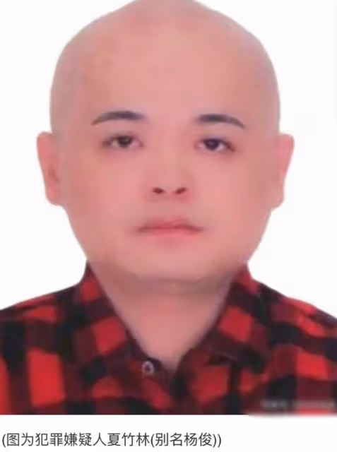 伊能靜為頂級富豪慶生!現場美女如雲,男方被曝詐騙上億逃亡海外