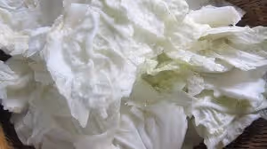 番茄白菜燉土豆