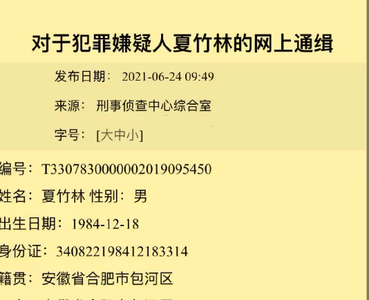 伊能靜被曝疑為逃犯慶生 詐騙3.37億逃到海外