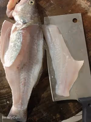 鮮嫩鱸魚片➕紅燒鱸魚腩