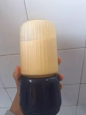 超好喝的楊枝甘露（超詳細、零失敗）