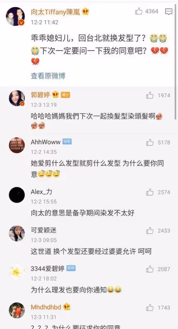 向佐「不講武德」,向太護犢子,郭碧婷的這場「賭豪」本就是敗局