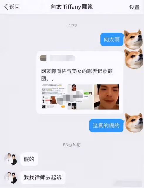 向佐「不講武德」,向太護犢子,郭碧婷的這場「賭豪」本就是敗局