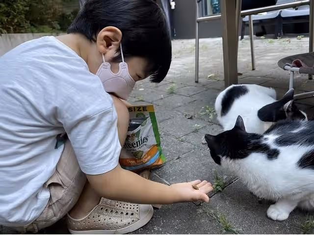43歲蔡琳離異後獨自帶娃,她家裝修簡約精緻,生活簡單又悠閒