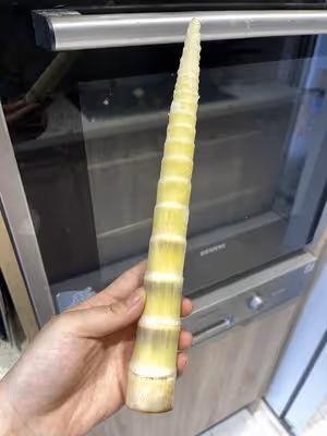 鮮嫩爽口的竹筍滑肉絲