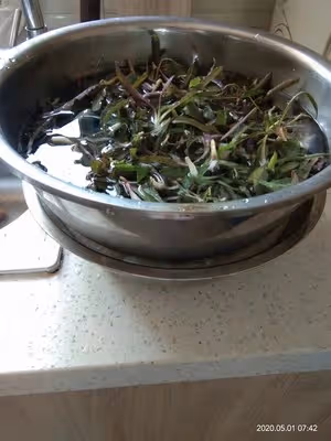 江米糕（家庭版電飯鍋）