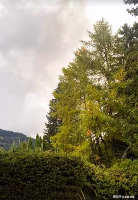 李嫣拍超酷街景 開始走專業的攝影路線