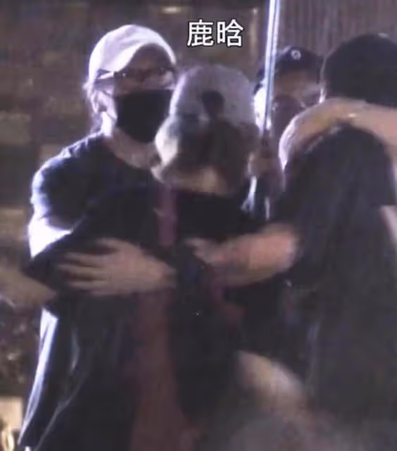 鹿晗深夜醉酒糗態百出,東搖西晃倒人懷中難自理,多次因喝酒丟人