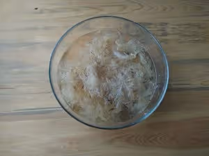 海涼粉