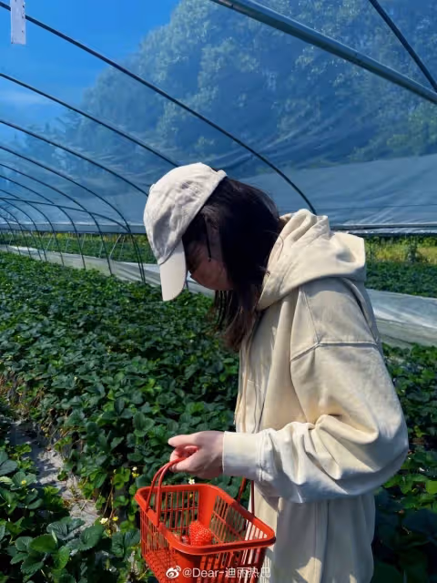 迪麗熱巴獲最佳女演員提名!網傳肖戰和迪麗熱巴將合演「甜寵劇」,男女主角堪稱「顏值頂配」粉絲超興奮!