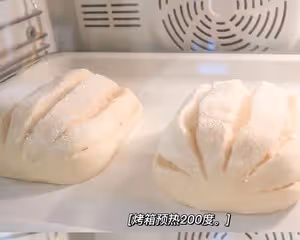 像吃海綿蛋糕的雙倍特濃牛奶哈斯