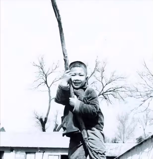 胡軍:出道32年清清白白,現因代言聲譽受損,他的晚節能保住嗎?