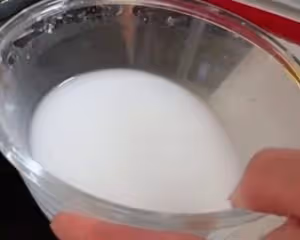 蝦皮冬瓜