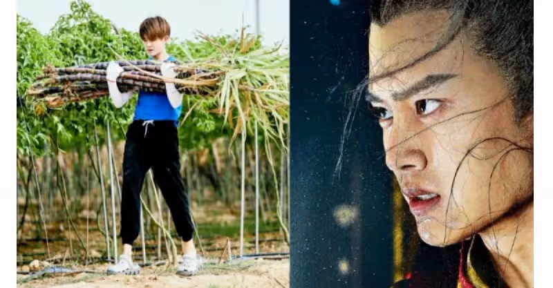 任嘉倫：不努力工作，認真生活，你就沒有飯吃了