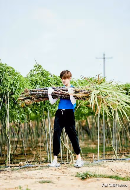 任嘉倫：不努力工作，認真生活，你就沒有飯吃了