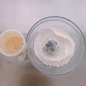黑糖椰蓉蔓越莓月餅（椰香濃郁）