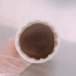 黑糖椰蓉蔓越莓月餅（椰香濃郁）