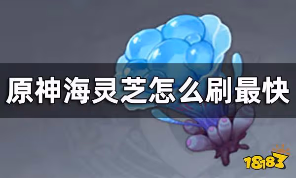 原神海靈芝速刷路線 海靈芝怎麼刷最快