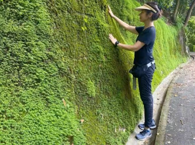 62歲鍾楚紅罕拍電視廣告,黑髮濃密惹人羨,笑容溫柔盡顯女神氣質