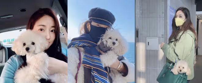 曾是經典韓劇最火女二!45歲未婚過佛系精緻生活,依舊不負性感女神稱號