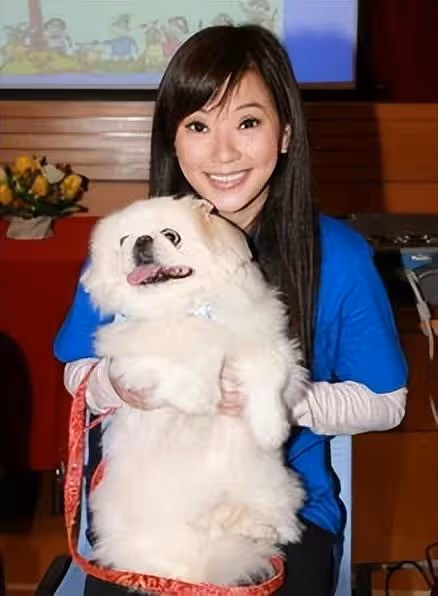 被稱最美郭芙！巔峰隱退「29歲嫁100億富豪」2入豪門遭拋棄　現整容成「網紅臉」令人唏噓