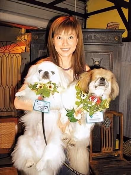 被稱最美郭芙！巔峰隱退「29歲嫁100億富豪」2入豪門遭拋棄　現整容成「網紅臉」令人唏噓