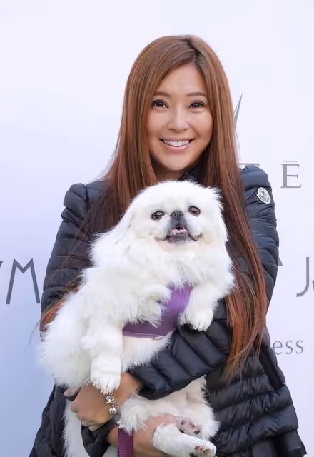被稱最美郭芙!巔峰隱退「29歲嫁100億富豪」2入豪門遭拋棄 現整容成「網紅臉」令人唏噓