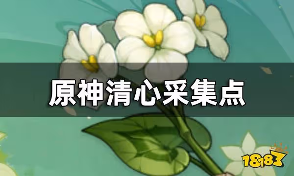 原神清心採集點 清心要去哪採集比較快