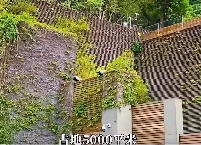 林青霞的1512坪豪宅:臥室120平,裝修6個億,18個傭人伺候