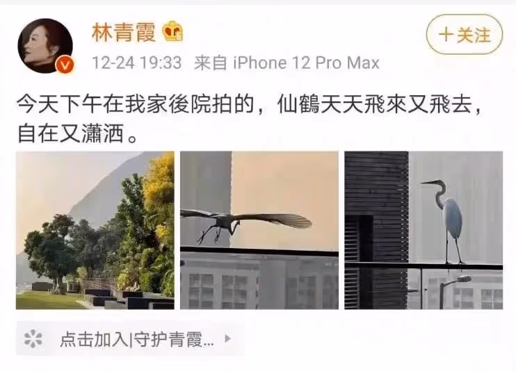 林青霞的1512坪豪宅:臥室120平,裝修6個億,18個傭人伺候