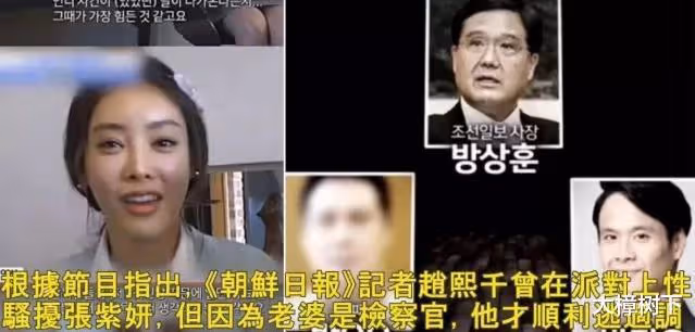 張紫妍:被迫陪睡31人近百次,最多一次4人,慘遭道具虐待,29歲弔死家中