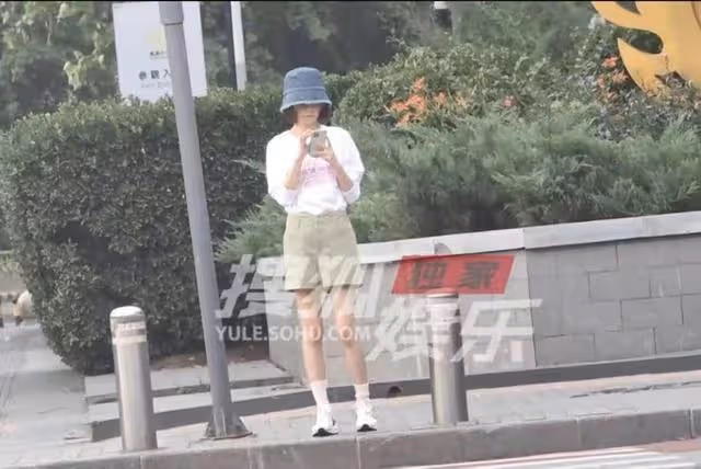 魯豫現身機場盡顯老態 腋下皮膚勒出多層褶皺