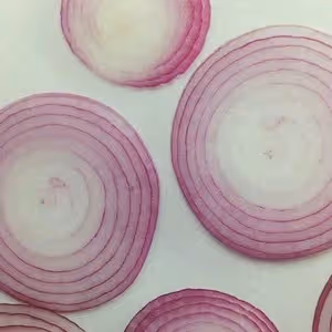 炸洋蔥圈