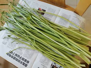 超香！用芹菜葉子 自製歐芹碎（香料調料）