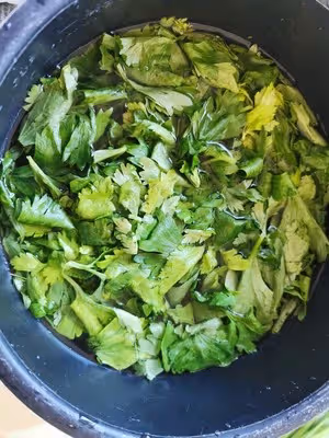 超香！用芹菜葉子 自製歐芹碎（香料調料）
