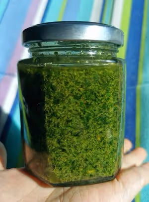 超香！用芹菜葉子 自製歐芹碎（香料調料）
