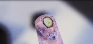 曼食慢語 |冰品界的紅白玫瑰，清新冰棍和濃郁雪糕你選哪個？