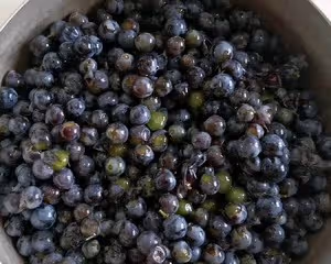 【自製葡萄果醬】有籽葡萄的做法+濃稠度對比