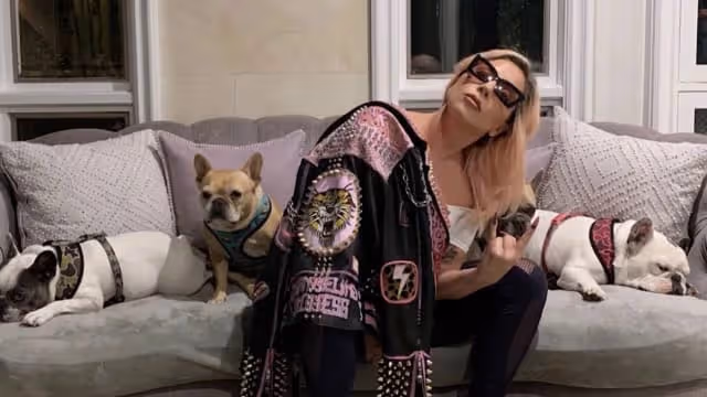 持槍搶劫Lady Gaga愛犬　男子認罪被判刑