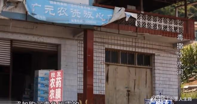 17年四川旺蒼出現「河神顯靈」,百姓實現吃魚自由,小伙:不要碰