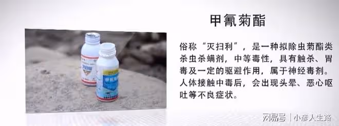 17年四川旺蒼出現「河神顯靈」,百姓實現吃魚自由,小伙:不要碰